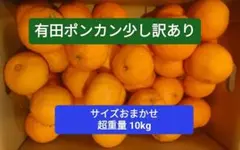 美味しい。和歌山有田ポンカン、はねだし品。サイズはおまかせ 総重量10kg