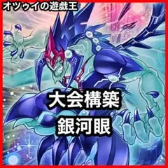 本格構築 捕食植物デッキ プレデタープランツデッキ 血樹竜姫