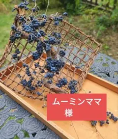 ムーミンママ様　専用　　　　　　　　 〜青ツヅラフジ〜