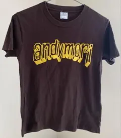 andymori Tシャツ Lサイズ ブルー美品 andymori Tシャツ Lサイズ ブルー美品 andymori Tシャツ Lサイズ