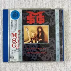 マイケルシェンカー アコースティック