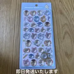 ちいかわ ボンボンドロップシール 第2弾 みんなポーズ