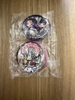 鬼滅の刃 ぴたでふぉめ 無限城編弐 缶バッジ 竈門炭治郎 冨岡義勇 ②