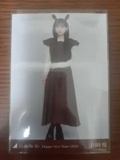 Item thumbnail for item f325a9c7-201e-4ba4-9e17-5787befef1aa