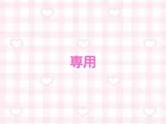 専用ページ
