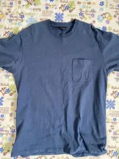 THE NORTH FACE ダークブルー Tシャツ