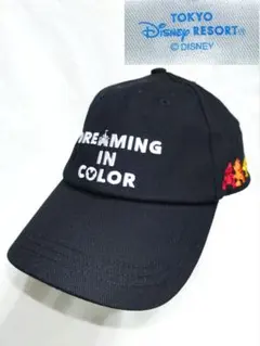 新品 東京ディズニーリゾート DREAMING IN COLOR キャップ