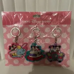 ディズニーリゾート　キーチェーン