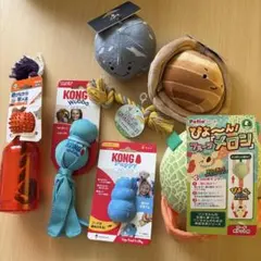 犬用おもちゃ 中型犬 コング リッチェル ビジーバディ ペティオ