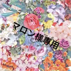 2025年最新】プードルコンパクトエサンシエルnの人気アイテム - メルカリ