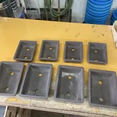 2025年最新】盆栽鉢 常滑の人気アイテム - メルカリ