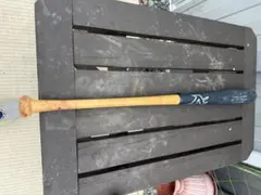 Item thumbnail for item ac5d8078-d03b-4f8a-8a34-5053e3cb1a26