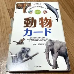 Item thumbnail for item da696e18-632b-436c-8784-2b36a4bf84b4