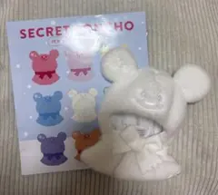 SECRET PONCHO 白