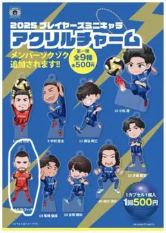 ブラウブリッツ秋田 記念グッズ