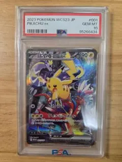 2026年最新】ポケモンワールドチャンピオンシップス2023横浜の人気