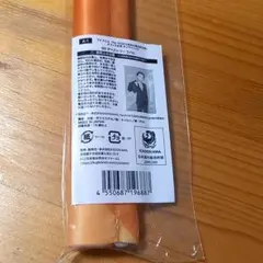 新品 無職転生オンラインくじ シルフェット くじ引き堂クリアポスター