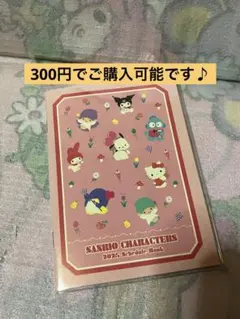 サンリオキャラクターズ　2025年　スケジュール帳　A6 手帳　★