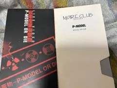 平沢進 P-MODEL moire vision 音楽産業廃棄物 VHS - メルカリ