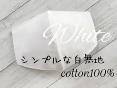 Item thumbnail for item 7d76e506-0ce2-4ab2-94c9-16ad2c13c7f3