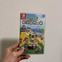 あつまれ どうぶつの森 Nintendo Switch ケース付き