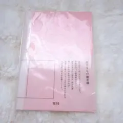 【新品未開封】TETO a little bit PURE ピンク B6ノート