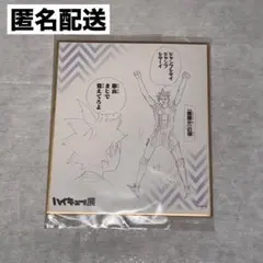 ハイキュー ハイキュー展 色紙コレクション 烏野 影山 日向