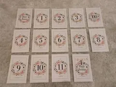 マンスリーカード　ベビー　月齢カード　イベント