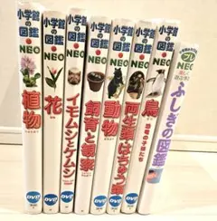 ​【DVDなし】小学館の図鑑NEO 7冊 ＋ プレNEO 1冊 計8冊セット