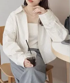 新品未使用 ストライプクロップドシャツ WEB限定カラー ベージュ ディスコート