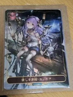 た*ー様 シャドウバースエボルヴ　ナイトメア　死者　荒野　NC　構築済み　デッキ Shadowverse EVOLVE Championship」（2024年9月3週）上位入賞者