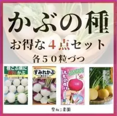【野菜の種】かぶ「お得な４点セット」種各２０粒～カラフルなかぶをセットにしました