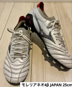 MORELIA2Japan 鉄ピン - メルカリ