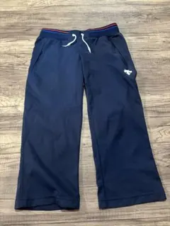 DESCENTE Move Sport レディース　パンツ　ジャージ　Lのサムネイル