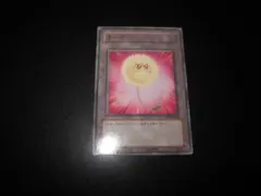 2025年最新】トークン 綿毛の人気アイテム - メルカリ