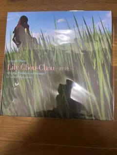 Lily Chou-Chou リリイ・シュシュのすべて アナログ盤レコード 2025年最新】リリイ・シュシュのすべて レコードの人気アイテム - メルカリ