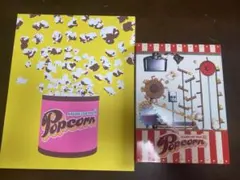 嵐/ARASHI LIVE TOUR Popcorn〈2枚組〉　パンフレット付き