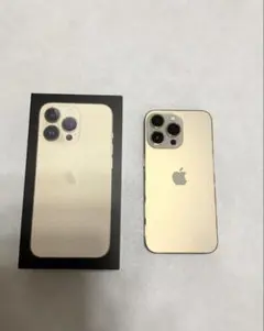 Apple iPhone 13 Pro 256GB ゴールド 本体（付属品付き） - メルカリ