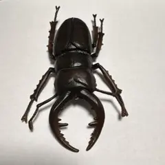 昆虫 一番くじ D賞 ジャイアントウェタ フィギュア - メルカリ