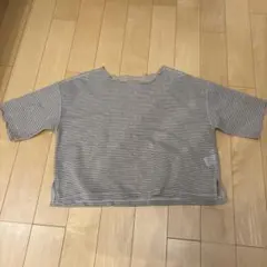 ディスコート　シアーボーダー5分袖