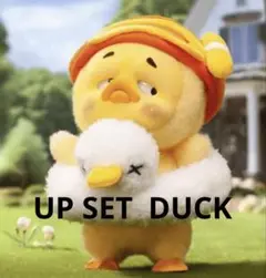 新品未開封！！UPSET DUCKアップセットダック