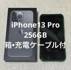 イッチー様専用【内容ご確認の上購入にお進み下さい】