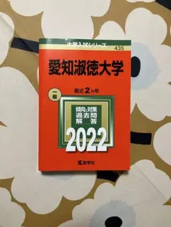 (書き込み少しアリ) 赤本 愛知淑徳大学
