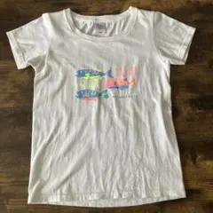 ミヤベイワナ プリントTシャツ レディース Sサイズ