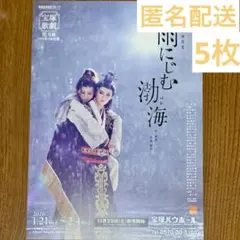 Item thumbnail for item cc966c60-4adf-402b-aedc-850b82c2353d