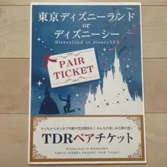 ディズニー ペアチケット
