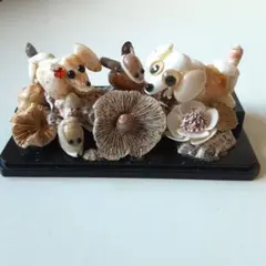 貝殻製 犬と花のオブジェ ★約17cm×8.5cm♪