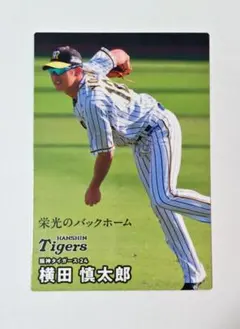 映画『栄光のバックホーム 』 試写会特典 横田慎太郎24カード　作品広告付き