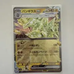 バンギラスex RR SV3 黒炎の支配者 032/108のサムネイル