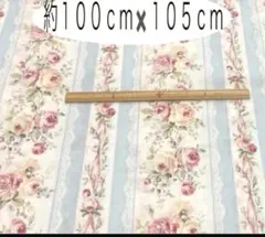 Item thumbnail for item ec58d53f-196c-4e7d-ae51-bb3323bd5a56